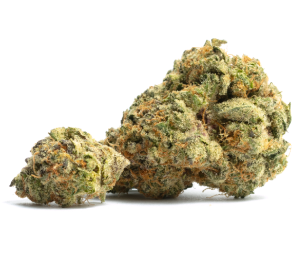 Orange Cookies