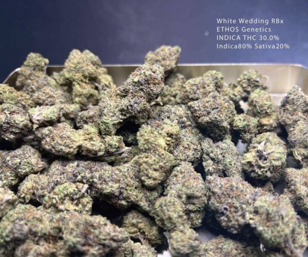 White Wedding RBx - Image 4
