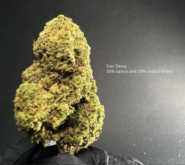 Star Dawg